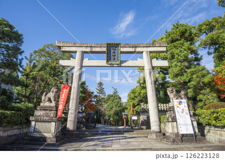 京都　わら天神宮の鳥居　　　　 126223128
