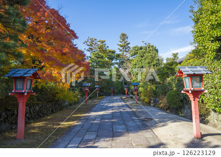 京都　わら天神宮の参道　　　 126223129