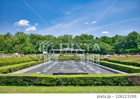 東京都 神代植物公園 バラ園 春バラの季節 東京都 神代植物公園 バラ園 春バラの季節 126223208