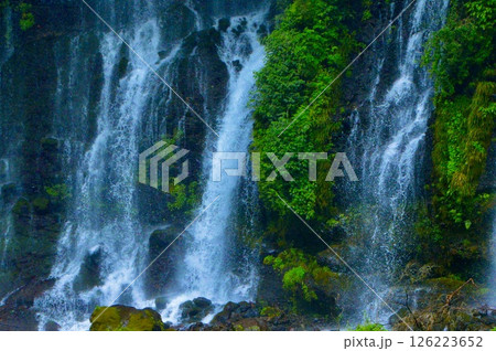 白糸の滝（静岡県富士宮市上井出） 126223652