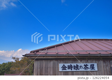 関東・箱根・金時山、頂上のお楽しみ、食事が楽しめるお茶屋・神奈川県箱根町(3) 関東・箱根・金時山、頂上のお楽しみ、食事が楽しめるお茶屋・神奈川県箱根町(3) 126224054