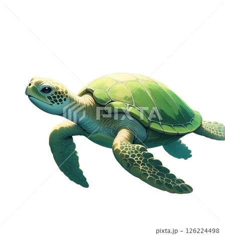 海中散歩 126224498