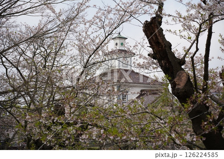 桜の木に囲まれた古い建物 桜の木に囲まれた古い建物 126224585