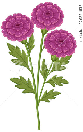Vibrant Purple Flowers with Lush Green Leaves 126224638