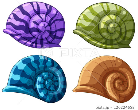 Colorful Nautilus Shells Vector Illustration 126224658