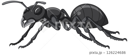 Detailed Black Ant Vector Illustration Detailed Black Ant Vector Illustration 126224686