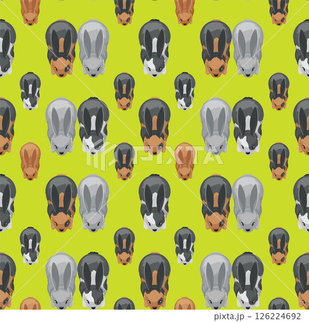 Colorful Rabbit Pattern on Green Background 126224692