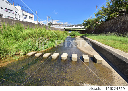 阪急芦屋川駅近くの飛石　芦屋川　飛び石　芦屋川風景　 126224739