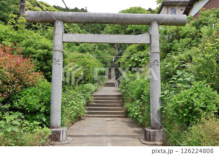 白山神社の鳥居と参道(神奈川県鎌倉市今泉3丁目) 白山神社の鳥居と参道(神奈川県鎌倉市今泉3丁目) 126224808