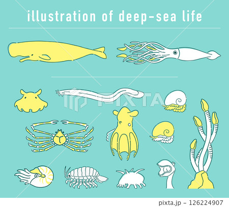 深海生物の手描きイラストセット 126224907