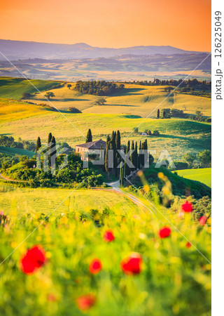 Val d'Orcia, Tuscany. Podere in San Quirico d'Orcia, beautiful spring tuscan landscape in Italy. 126225049