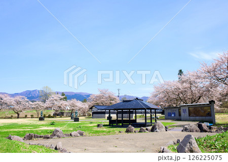 桜咲く後三年の役古戦場　秋田県横手市 126225075