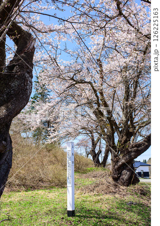 桜咲く春 後三年の役古戦場 立馬郊 秋田県横手市 桜咲く春 後三年の役古戦場 立馬郊 秋田県横手市 126225163
