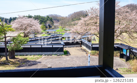 桜咲く後三年の役古戦場 秋田県横手市 桜咲く後三年の役古戦場 秋田県横手市 126225185