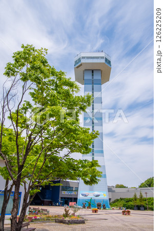 国営木曽三川公園「木曽三川公園センター」南ゾーンの新緑の木と展望タワー 国営木曽三川公園「木曽三川公園センター」南ゾーンの新緑の木と展望タワー 126225209