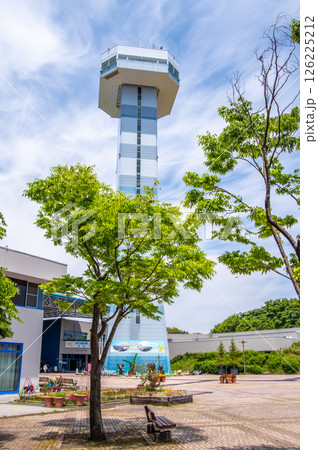 国営木曽三川公園「木曽三川公園センター」南ゾーンの新緑の木と展望タワー 国営木曽三川公園「木曽三川公園センター」南ゾーンの新緑の木と展望タワー 126225212