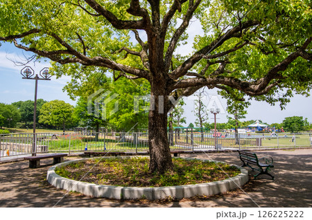 国営木曽三川公園「木曽三川公園センター」北ゾーン グリーンデッキ 国営木曽三川公園「木曽三川公園センター」北ゾーン グリーンデッキ 126225222