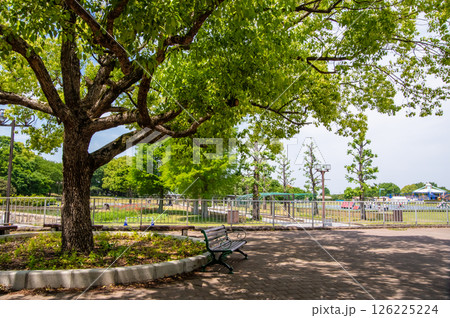 国営木曽三川公園「木曽三川公園センター」北ゾーン グリーンデッキ 126225224
