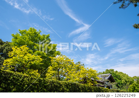 国営木曽三川公園「木曽三川公園センター」輪中の農家 126225249