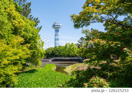 国営木曽三川公園「木曽三川公園センター」展望タワーと新緑 126225253