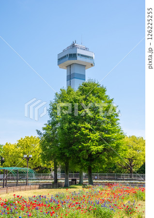 国営木曽三川公園「木曽三川公園センター」展望タワーとメタセコイヤ 国営木曽三川公園「木曽三川公園センター」展望タワーとメタセコイヤ 126225255