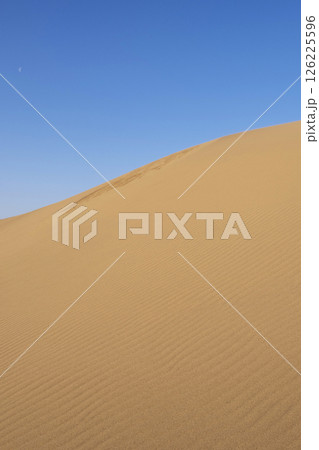鳥取砂丘の美しい風景 鳥取砂丘の美しい風景 126225596