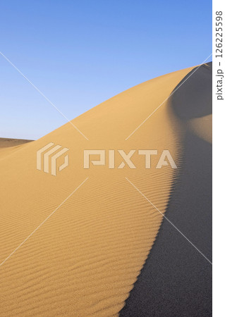 鳥取砂丘の美しい風景 鳥取砂丘の美しい風景 126225598