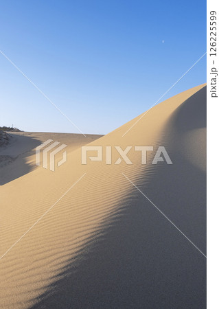 鳥取砂丘の美しい風景 126225599