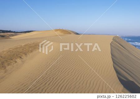鳥取砂丘の美しい風景 126225602
