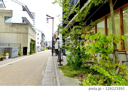 枚方宿 街道沿いに瑞々しい緑が鮮やかに玄関前を彩る風景 大阪府枚方市岡本町 枚方宿 街道沿いに瑞々しい緑が鮮やかに玄関前を彩る風景 大阪府枚方市岡本町 126225891