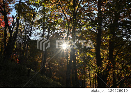 大菩薩嶺登山、山梨県 大菩薩嶺登山、山梨県 126226010