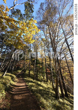 大菩薩嶺登山、山梨県 大菩薩嶺登山、山梨県 126226038