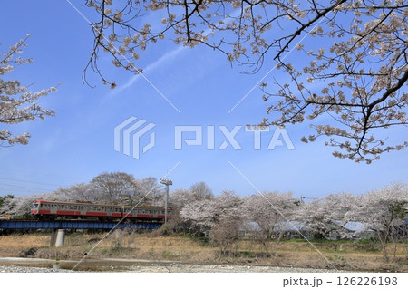春景色の三岐鉄道三岐線 春景色の三岐鉄道三岐線 126226198