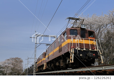 春景色の三岐鉄道貨物列車 春景色の三岐鉄道貨物列車 126226261