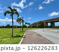 沖縄の青空と高架橋が広がる南国の公園風景 126226283