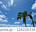 南国の青空を飛ぶ飛行機とヤシの木の風景（沖縄） 126226316