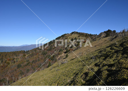 大菩薩嶺登山、山梨県 126226609