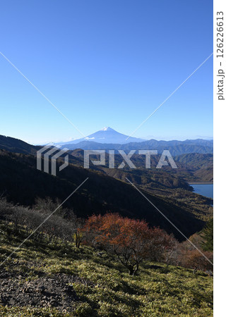 大菩薩嶺登山、山梨県 大菩薩嶺登山、山梨県 126226613
