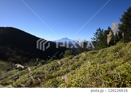 大菩薩嶺登山、山梨県 126226616