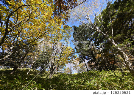 大菩薩嶺登山、山梨県 大菩薩嶺登山、山梨県 126226621