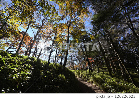 大菩薩嶺登山、山梨県 126226623