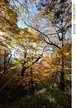 大菩薩嶺登山、山梨県 大菩薩嶺登山、山梨県 126226630