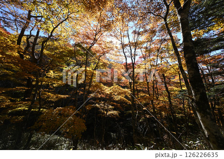 大菩薩嶺登山、山梨県 126226635