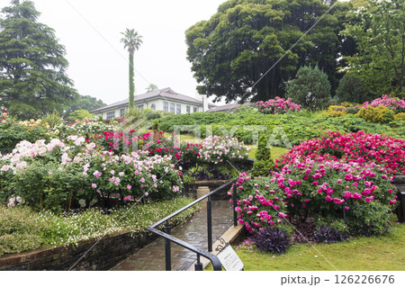山手西洋館フランス山庭園の港の見える丘公園の春 126226676