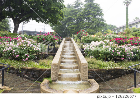 山手西洋館フランス山庭園の港の見える丘公園の春 126226677