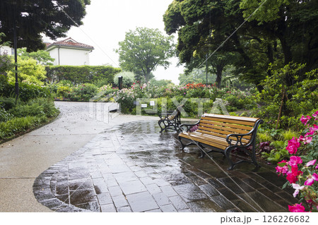 山手西洋館フランス山庭園の港の見える丘公園の春 126226682