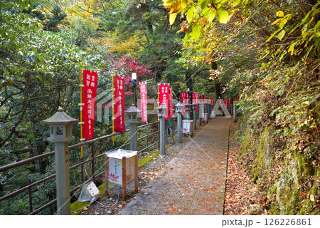 関東・紅葉の大山詣り・ケーブルカーの大山寺駅と大山寺を結ぶ遊歩道の風景・神奈川県伊勢原市(2) 関東・紅葉の大山詣り・ケーブルカーの大山寺駅と大山寺を結ぶ遊歩道の風景・神奈川県伊勢原市(2) 126226861