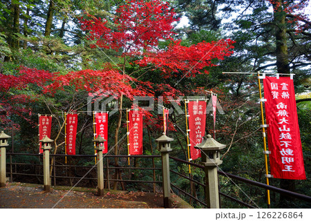 関東・紅葉の大山詣り・ケーブルカーの大山寺駅と大山寺を結ぶ遊歩道の風景・神奈川県伊勢原市(5) 126226864
