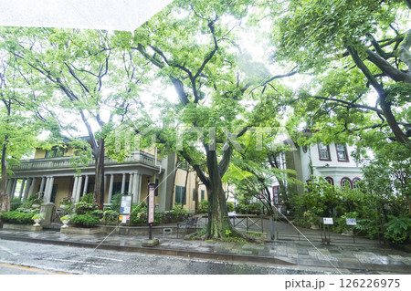 山手西洋館の234番館の春 山手西洋館の234番館の春 126226975