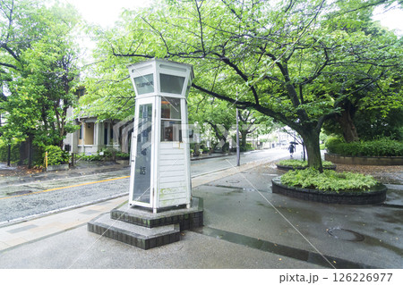 山手西洋館の234番館の春 山手西洋館の234番館の春 126226977